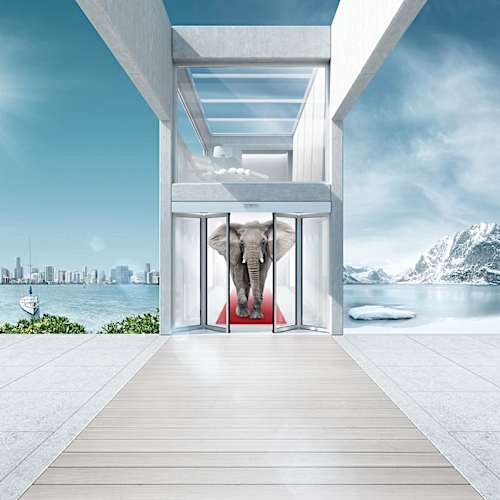 FFT_FLEX_Green_Elefant_1200x1200.jpg