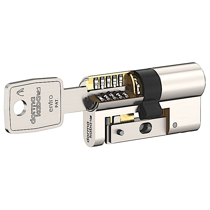 entro detail section