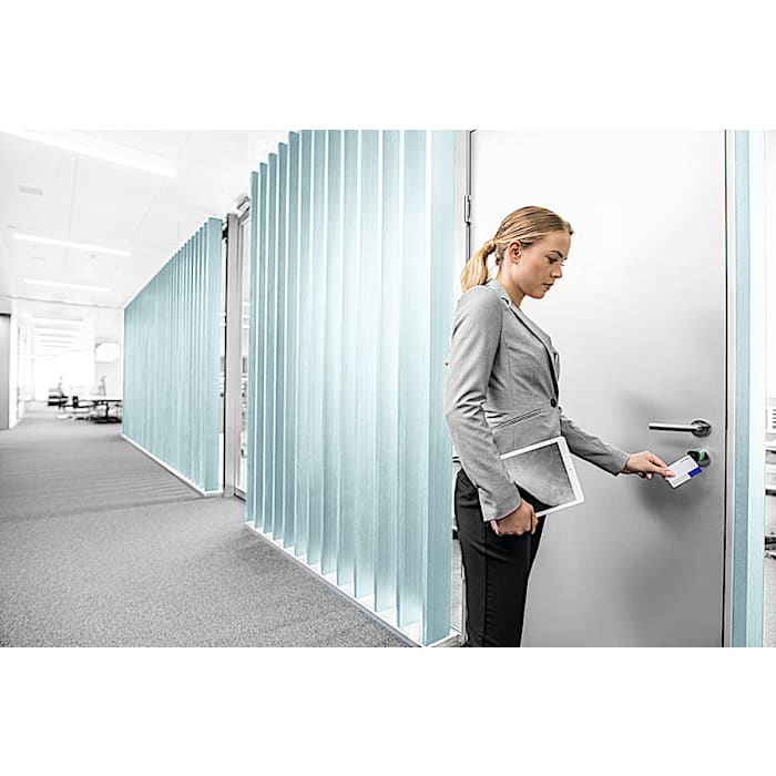 Kaba evolo Manager