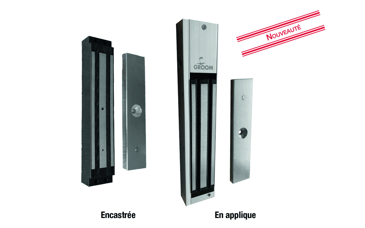 card-electromagnetic-lock-grs-200-reliable-compact-safe